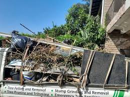 Best Dumpster Rental Services  in Lebanon, IN